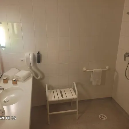 Ibis 3*