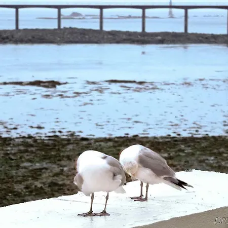 Ibis מלון 3*